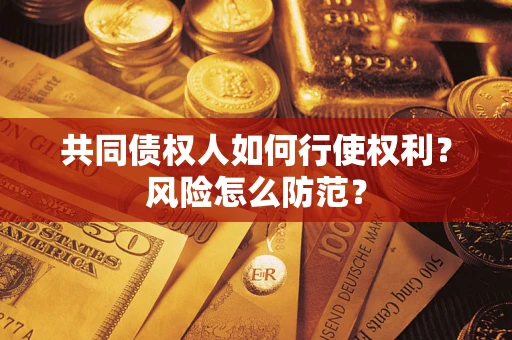 北京共同债权人如何行使权利？风险怎么防范？