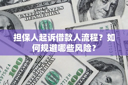 北京担保人起诉借款人流程？如何规避哪些风险？