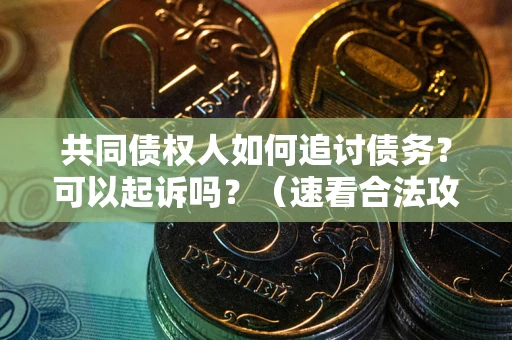 北京共同债权人如何追讨债务？可以起诉吗？（速看合法攻略）